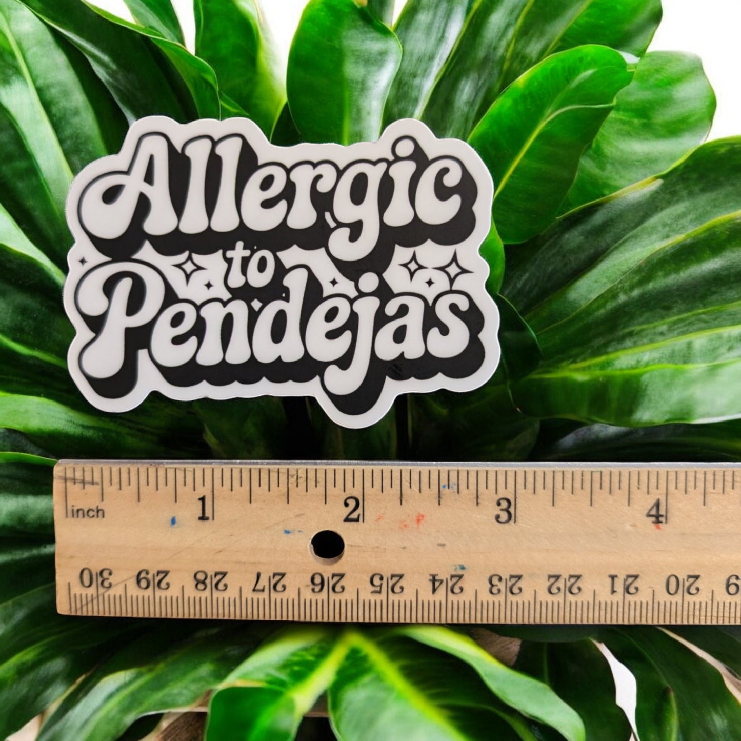 Allergic to Pendejas - Funny Spanish Sticker Premium Vinyl, Waterproof, Modern Chicana Aesthetic - Gift Sticker for Laptop, Water Bottle